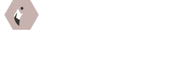 logo il fenicottero